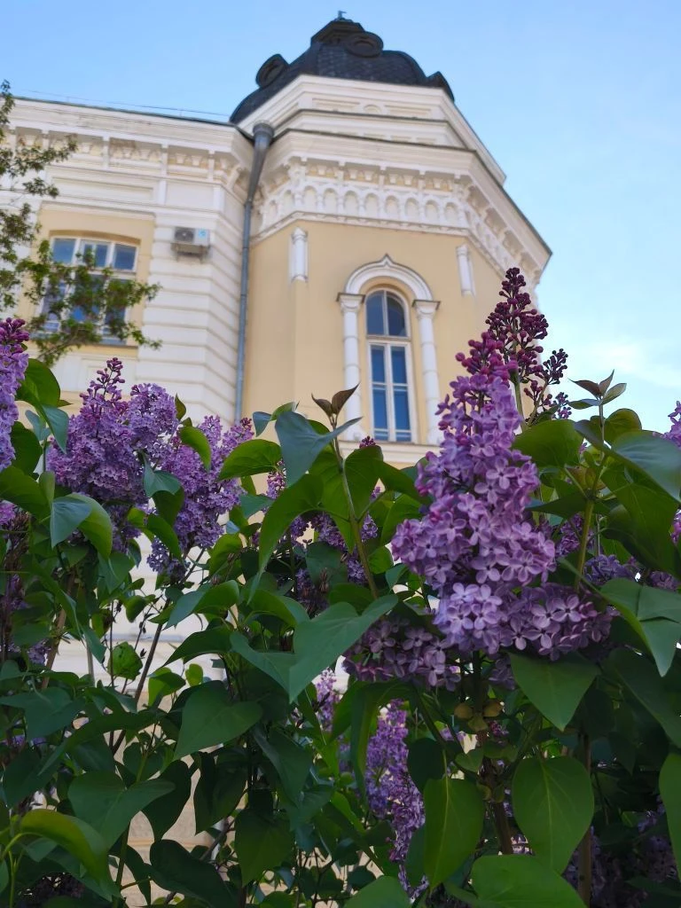 Астраханская государственная консерватория