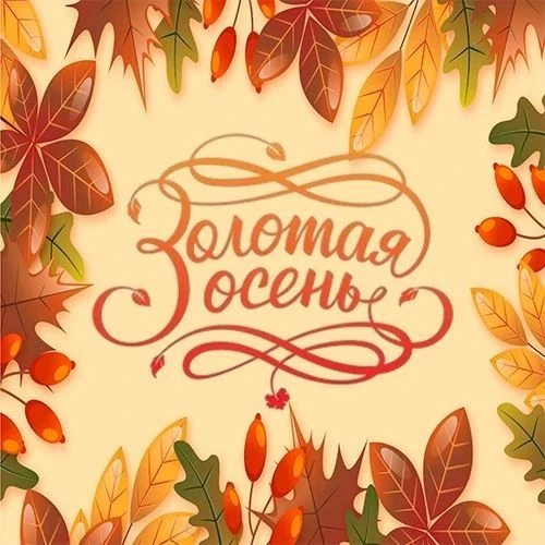 ГАУСО СО «КЦСОН «Золотая осень» города Нижний Тагил»