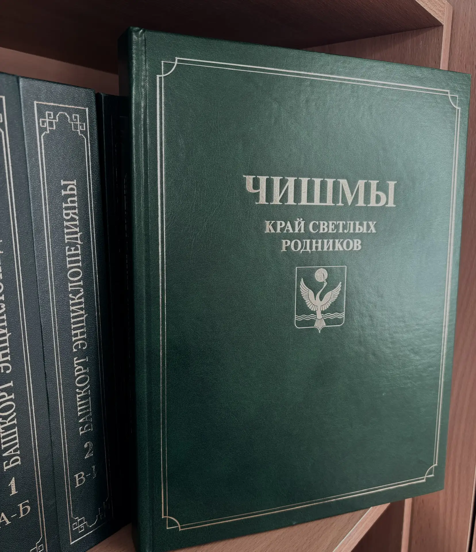 Чишминская районная библиотека