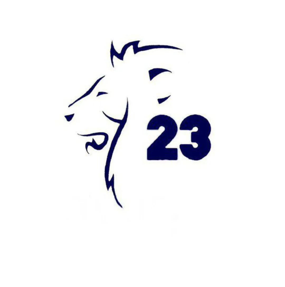 Гимназия 23 Владимир