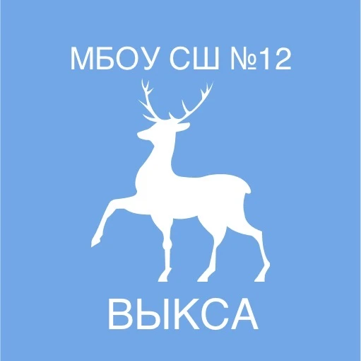 МБОУ СШ № 12 г. Выкса — канал в мессенджере MAX