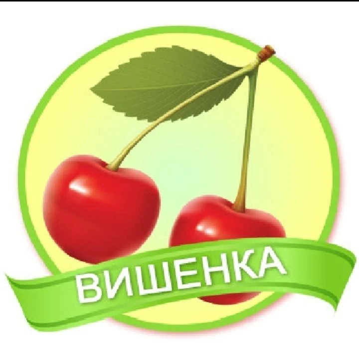 МАДОУ детский сад 19
