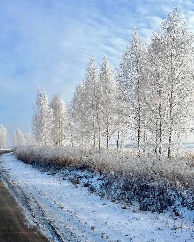 Газета Великолукского района "НАШ ПУТЬ"