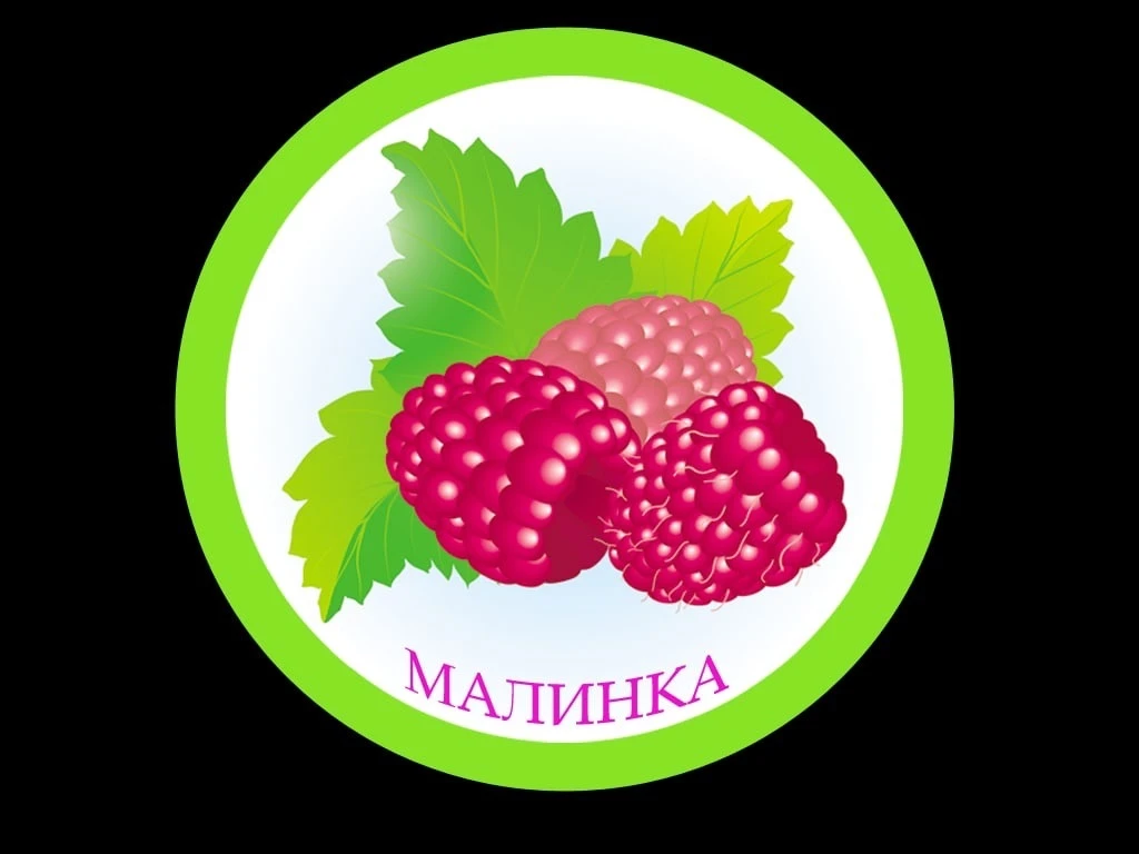 МБДОУ д/с №46  "Малинка" — канал в мессенджере MAX
