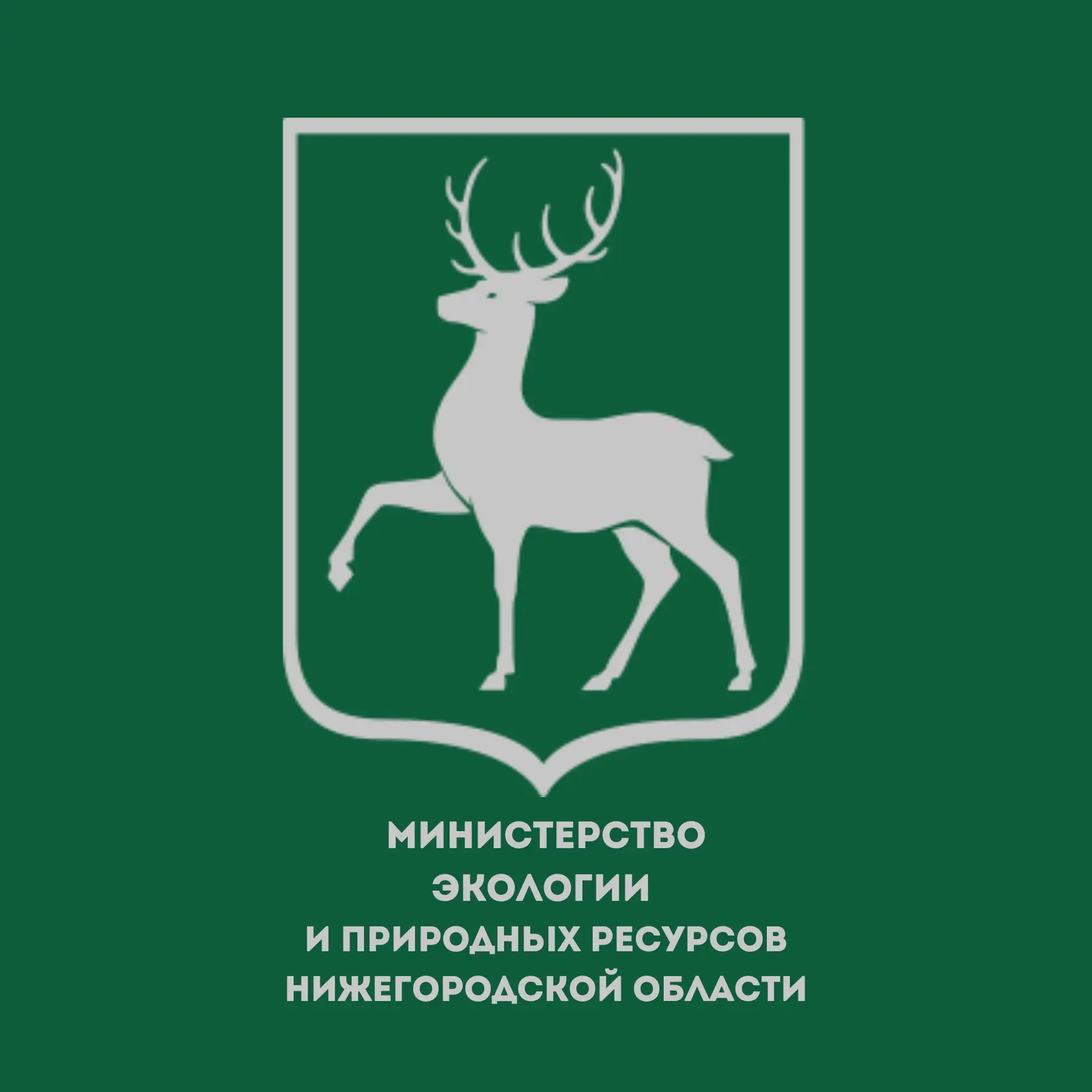 Министерство экологии и природных ресурсов Нижегородской области — канал в мессенджере MAX