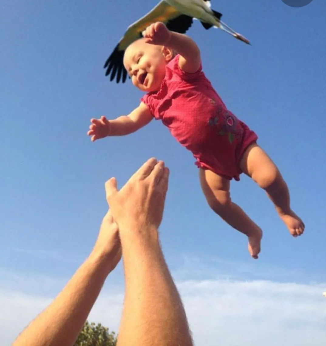 Крылья детства
МБДОУ "Детский сад №19"