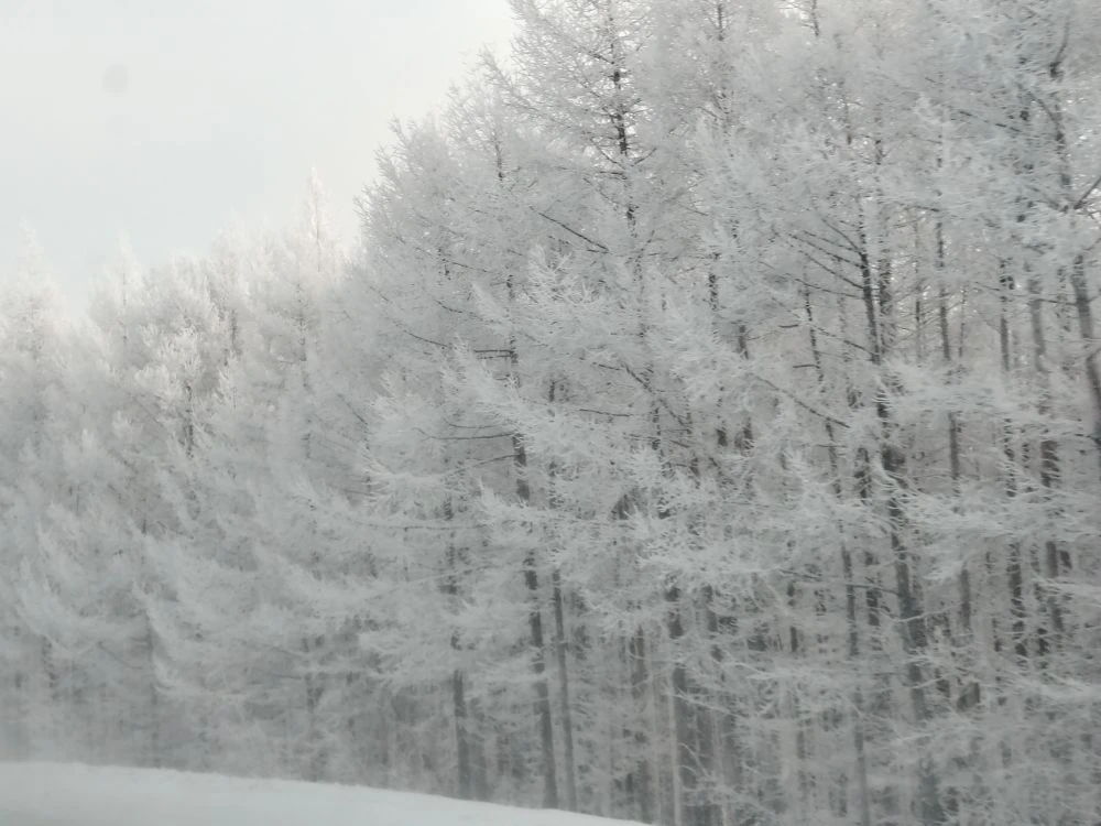 Муниципальное общеобразовательное учреждение Усть-Теленгуйская средняя общеобразовательная школа