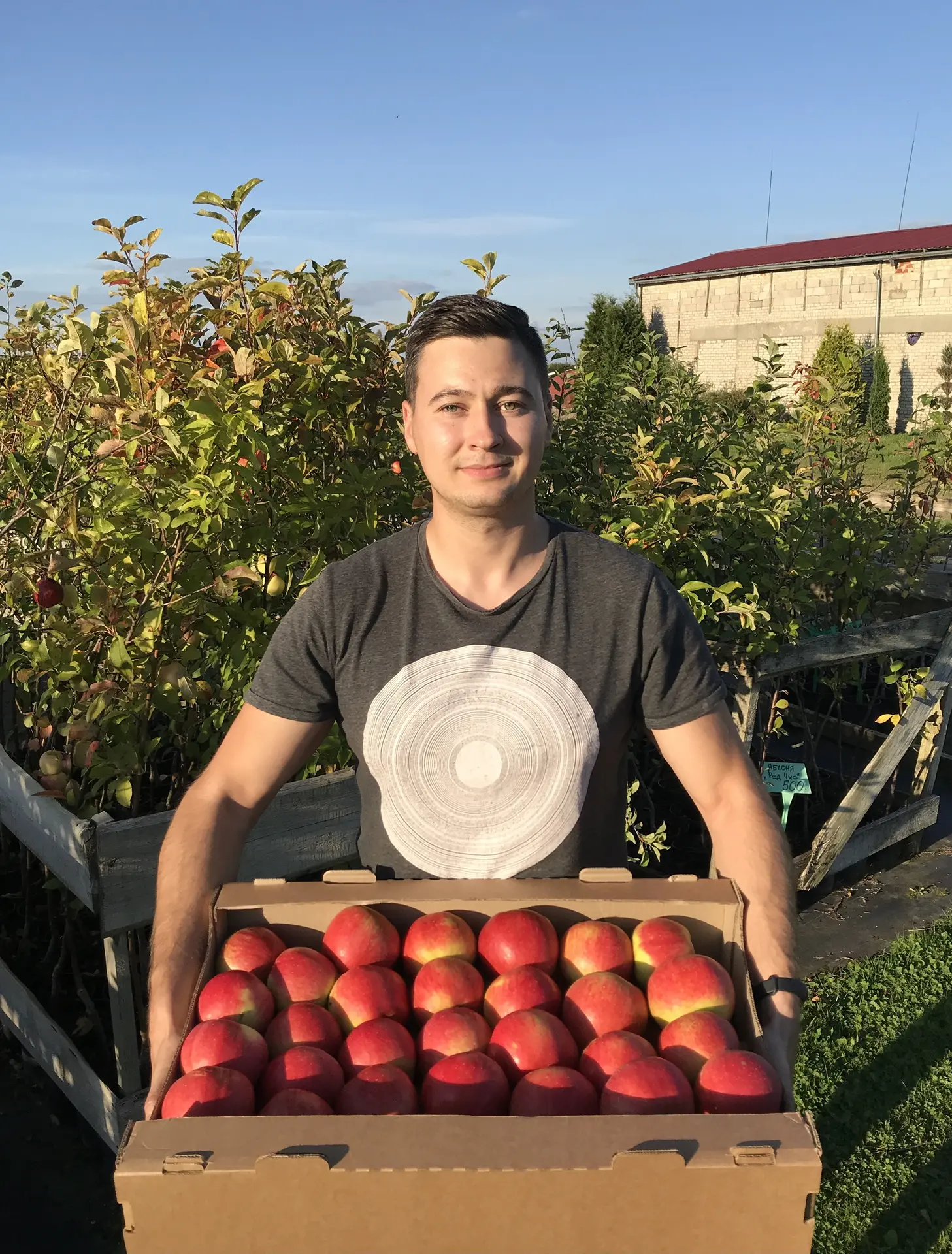 Дмитрий Парфёнов | Сады | Ягоды | Саженцы