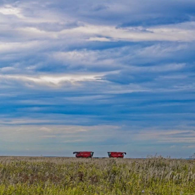 Суздальское Ополье