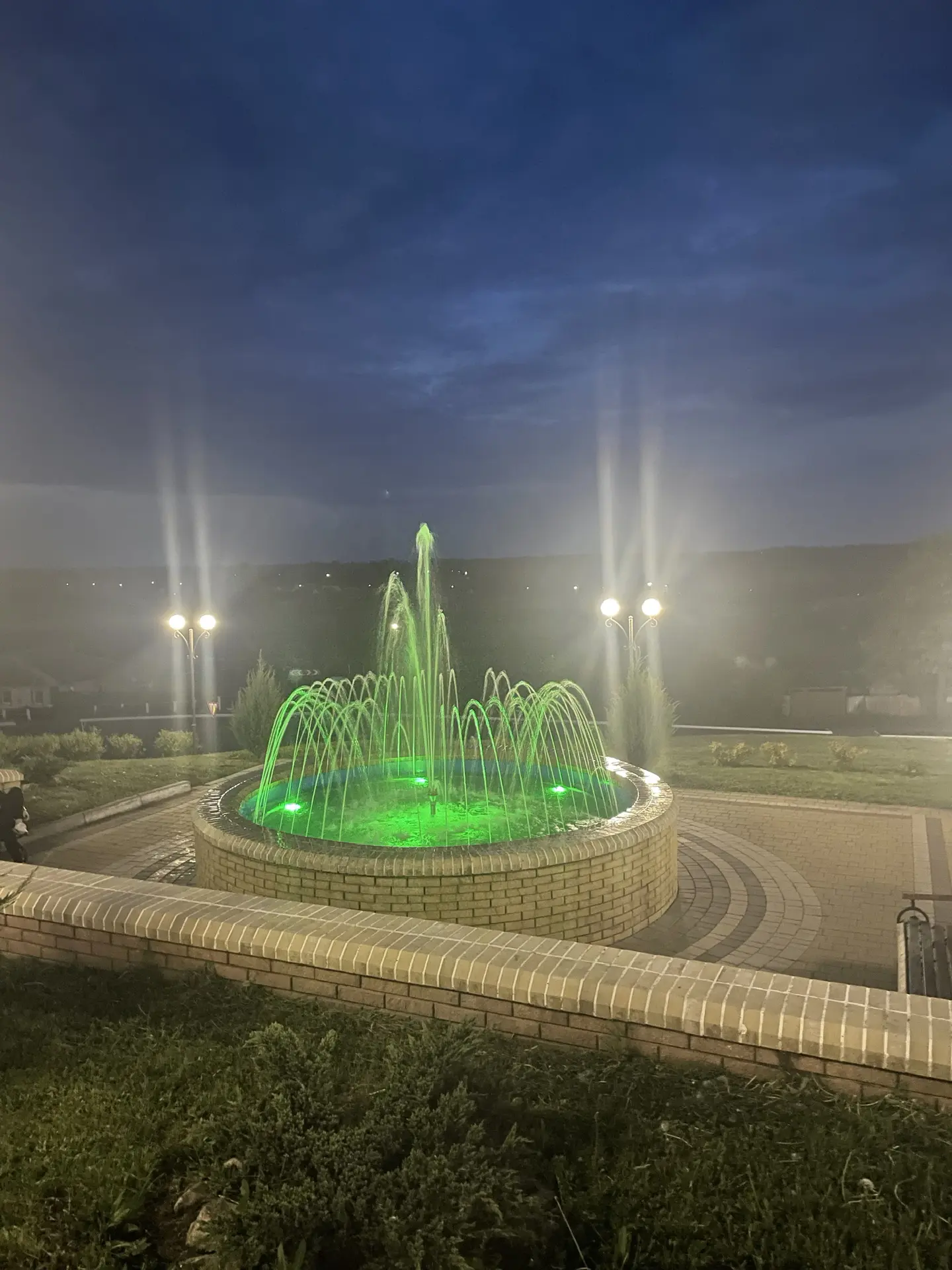 СелоВишнево