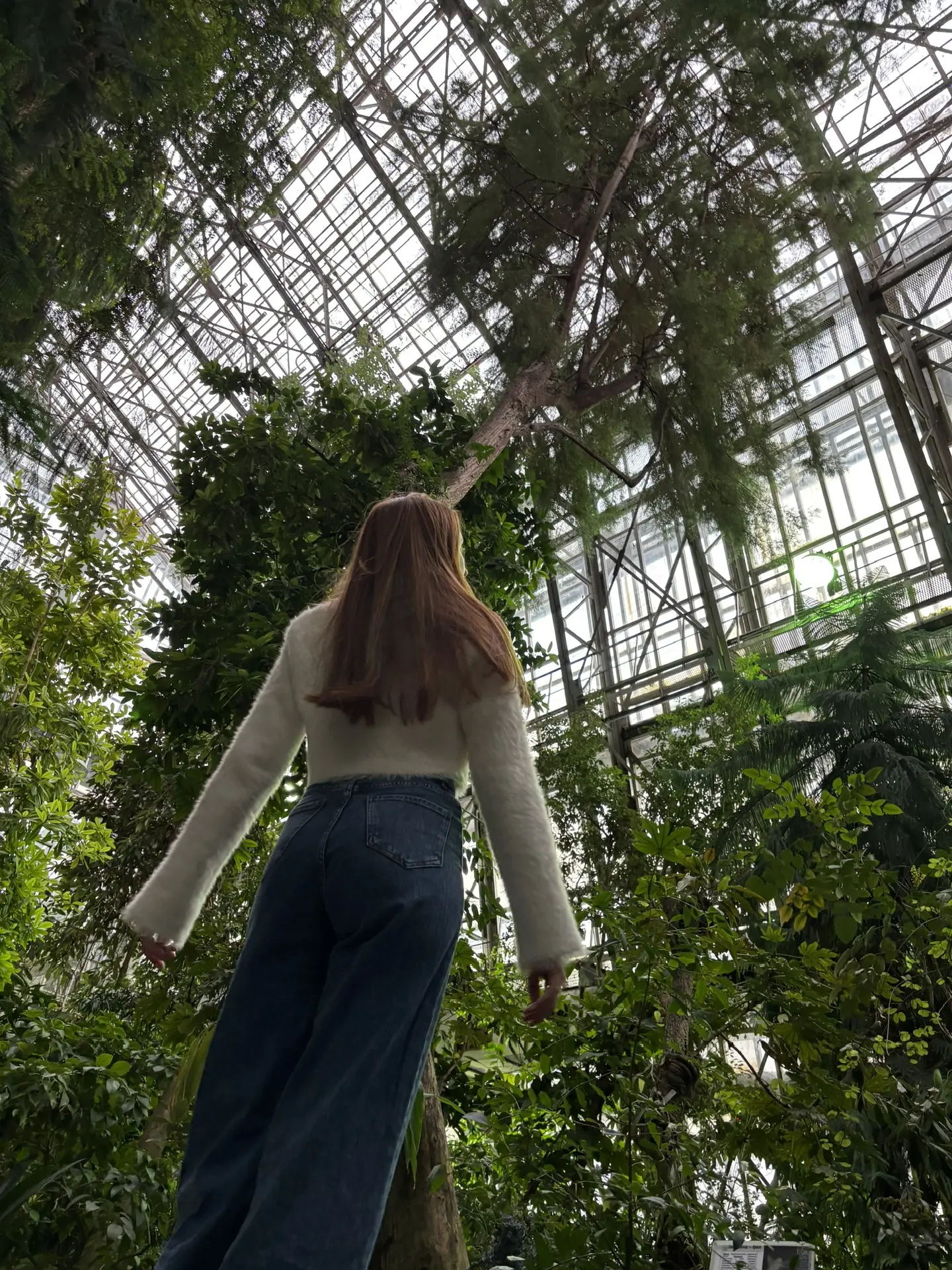 Цветов много не бывает🌱