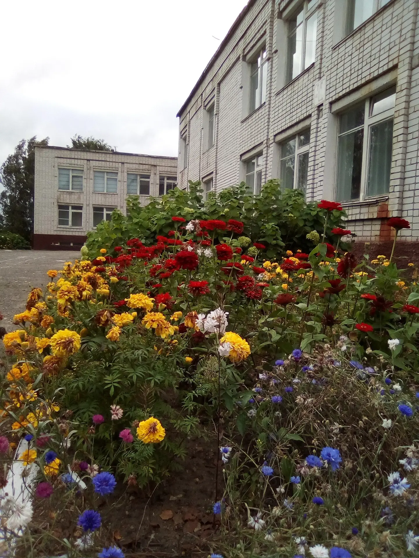 МОБУ «Новоарбанская СОШ»