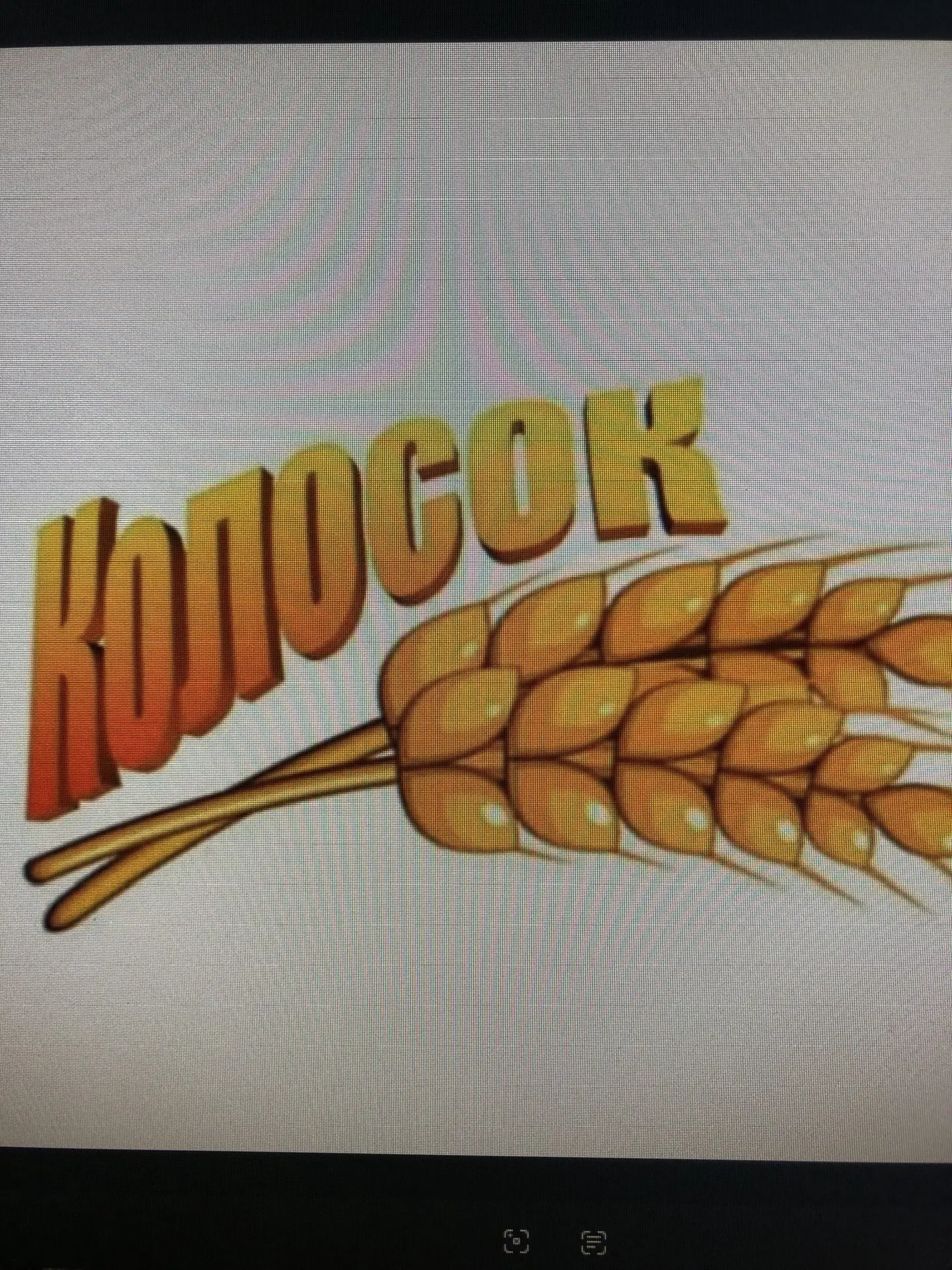 МДОУ детский сад "Колосок"