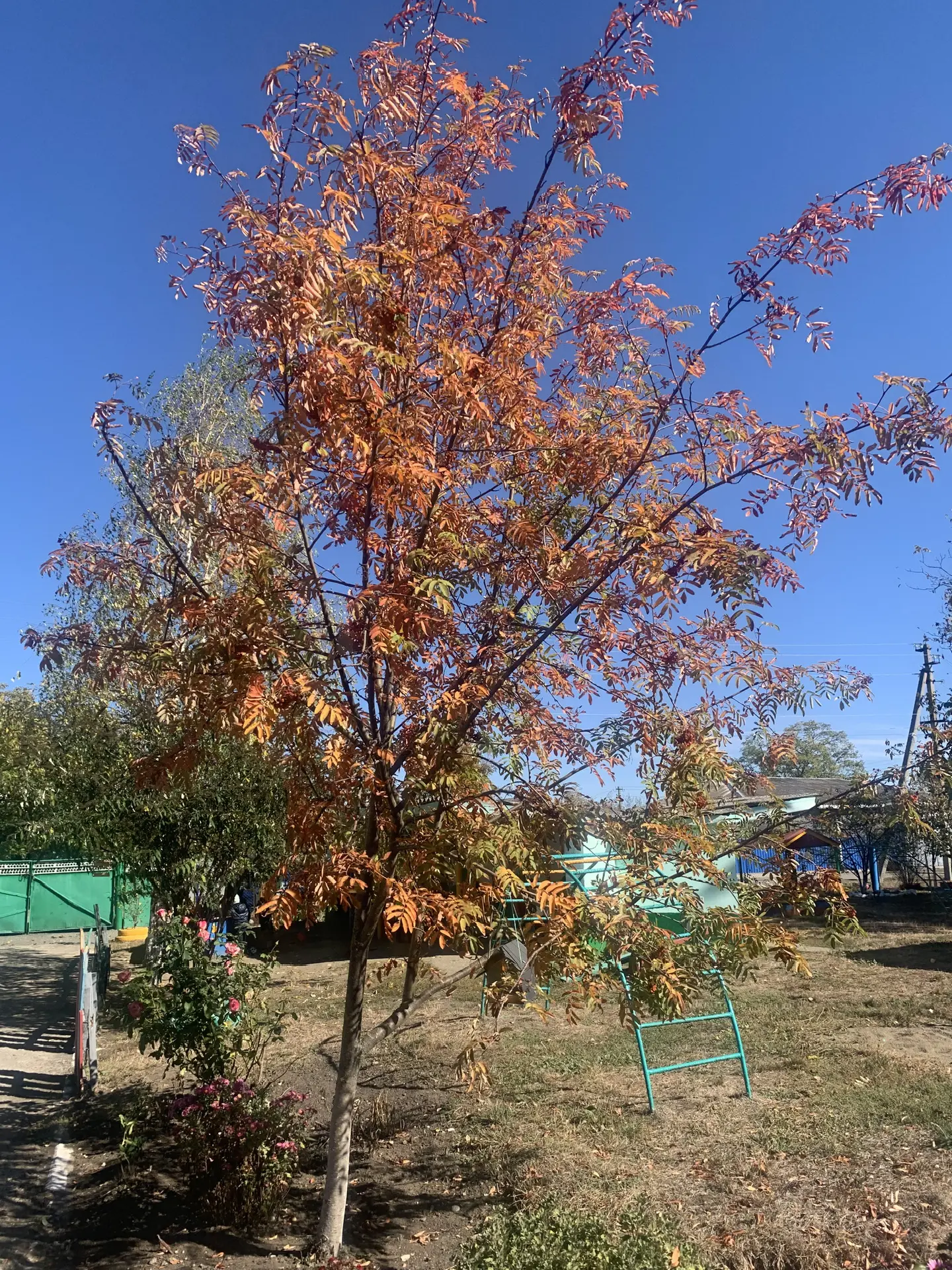 МБДОУ "ДЕТСКИЙ САД" РЯБИНУШКА" СТ. ИСПРАВНОЙ"