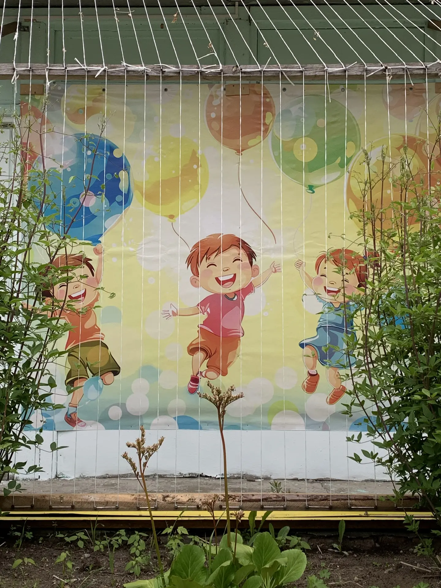 МДОУ детский сад №104, г.Кмсомольск-на-Амуре