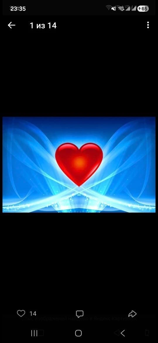 Радуйся жизни