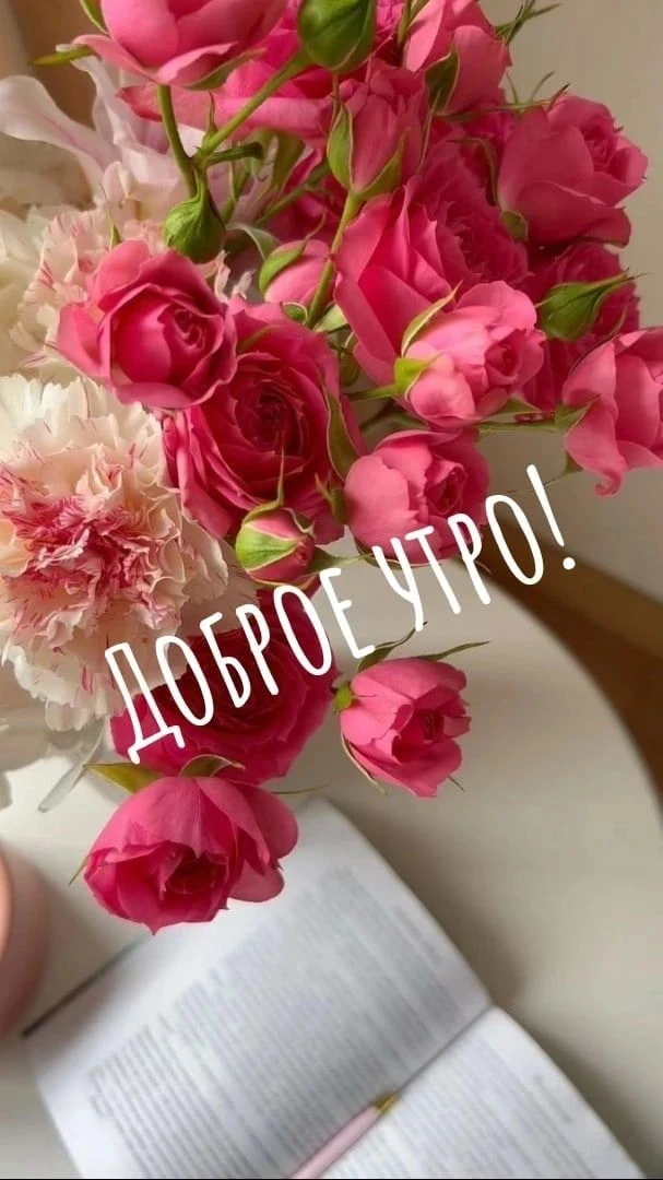Доброе утро - день - вечер! Спокойной ночи! — канал в мессенджере MAX
