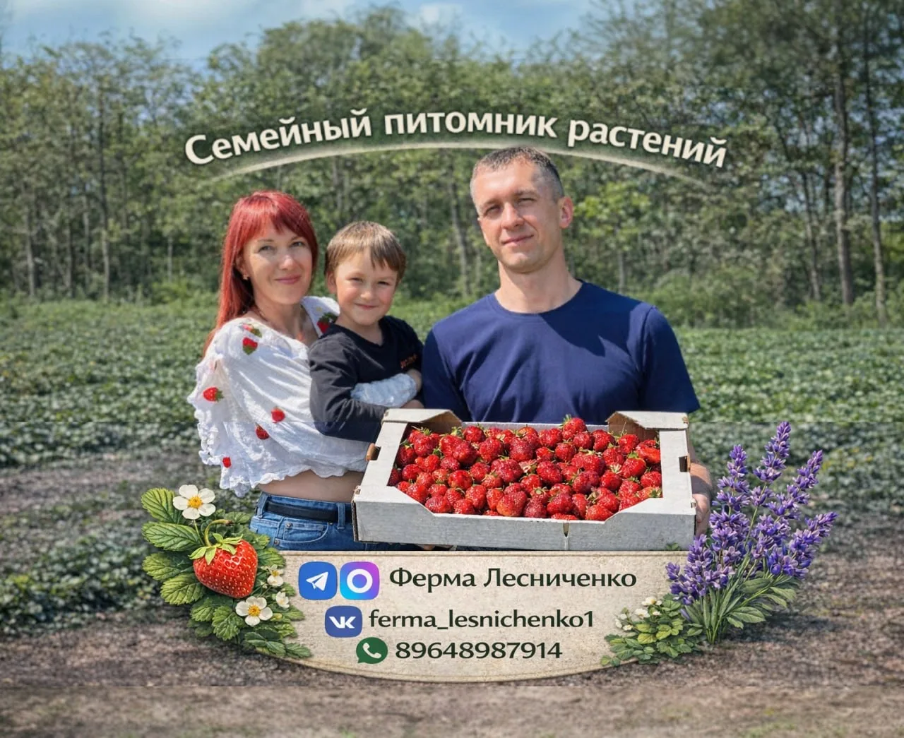 Ферма Лесниченко 🍓Клубника 💜Лаванда🌱Теплица — канал в мессенджере MAX