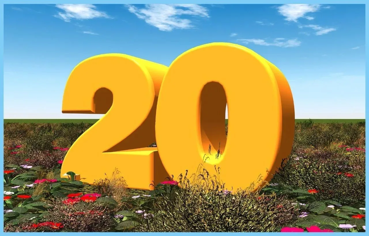 Муниципальная бюджетная средняя общеобразовательная школа №20 г. Орла