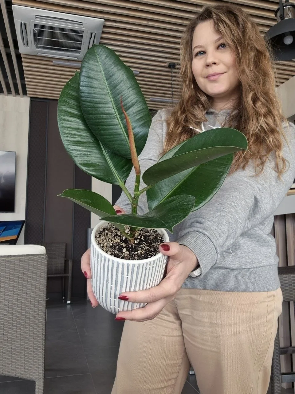 Комнатное цветоводство Анны Кучук