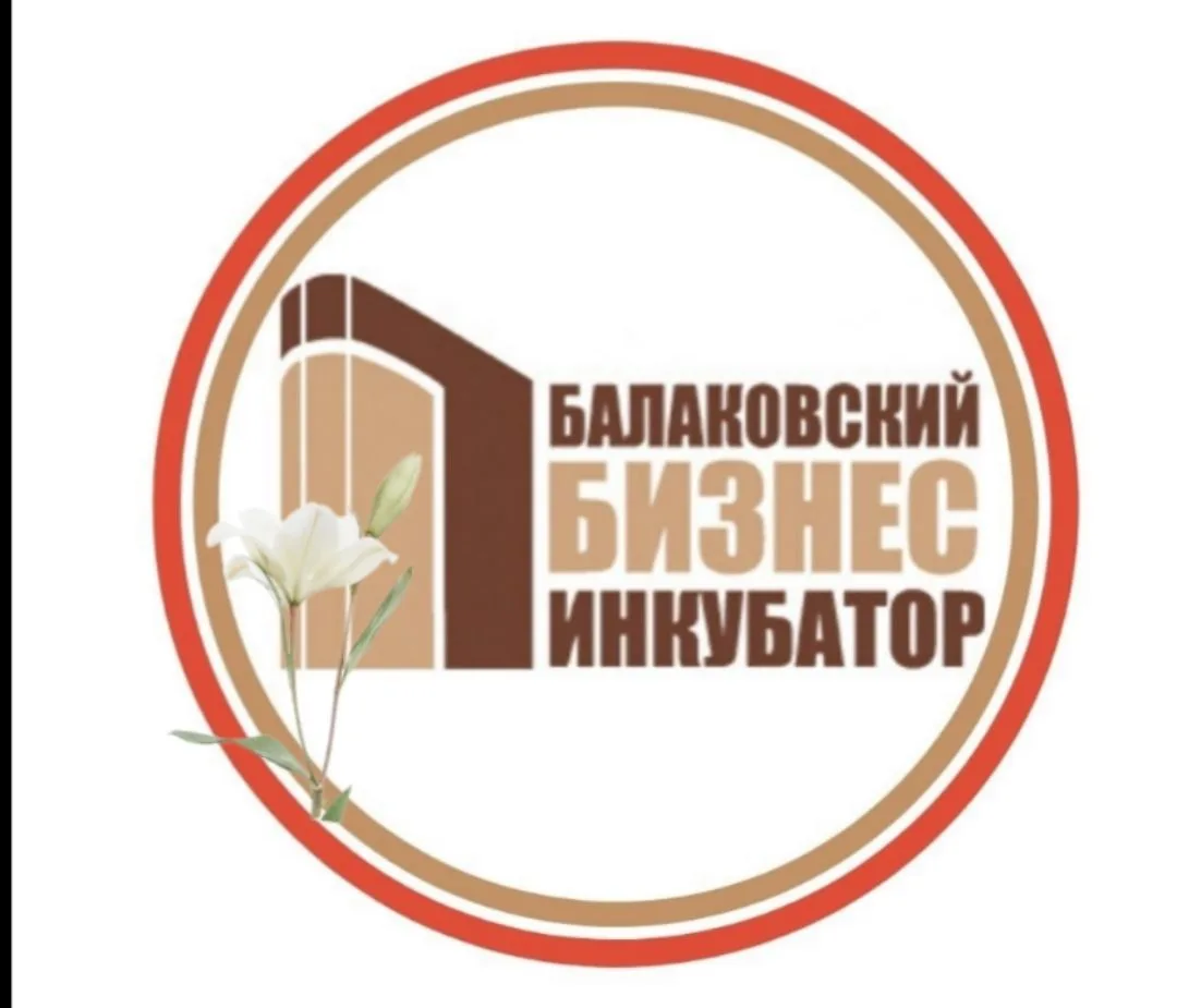 МАУ "Бизнес-инкубатор БМР"