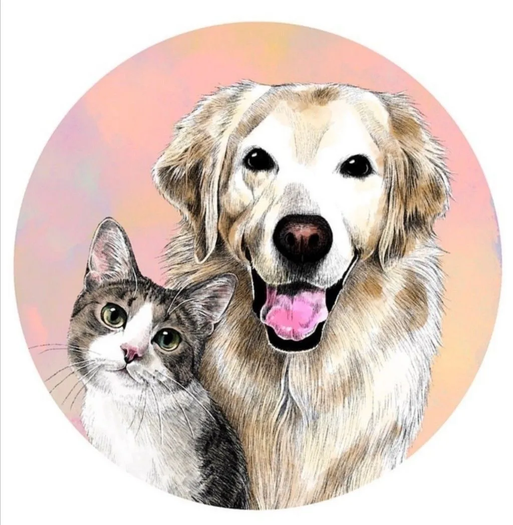 Хвостики 🐶  В мире животных : Кошки собаки попугаи обезьяны домашние животные хомяки еноты птицы рыбы лисы копибары кролики крысы еноты совы лошади ежики зверюшки малыши пушистики породистые кошки