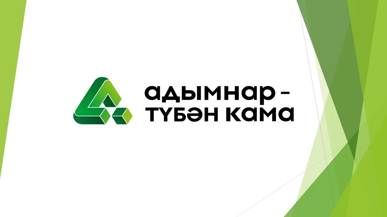 МБОУ "Адымнар - Нижнекамск" НМР РТ