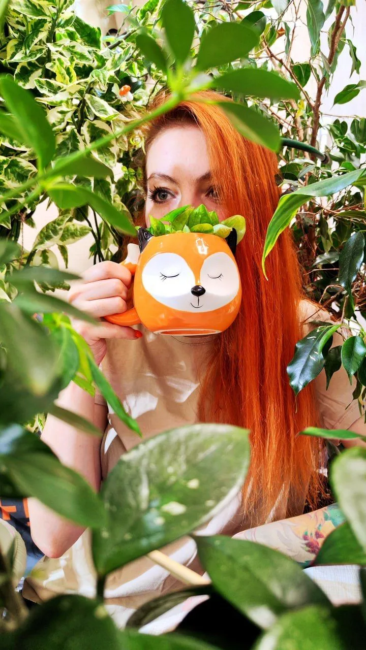 Лисьи Дебри