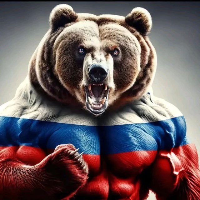 Белгородский Щит — канал в мессенджере MAX