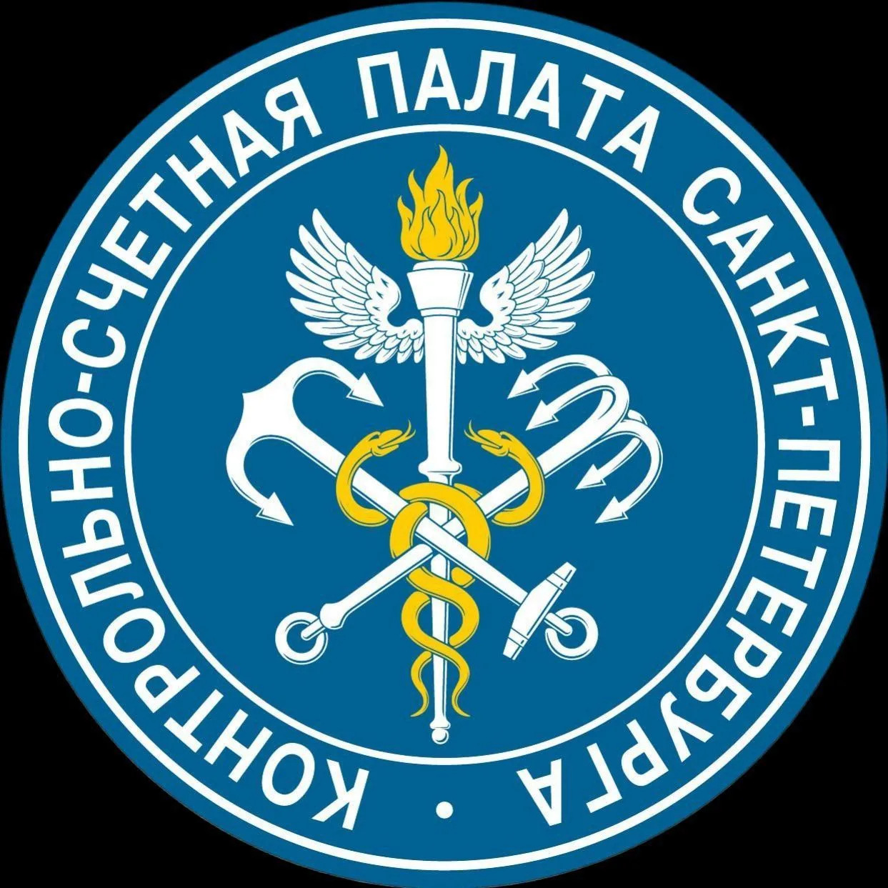 Контрольно-счетная палата Санкт-Петербурга