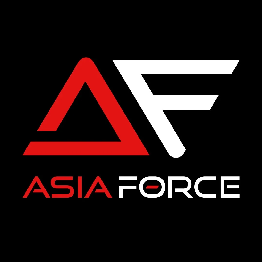 ASIAFORCE / ЧИП ТЮНИНГ — канал в мессенджере MAX