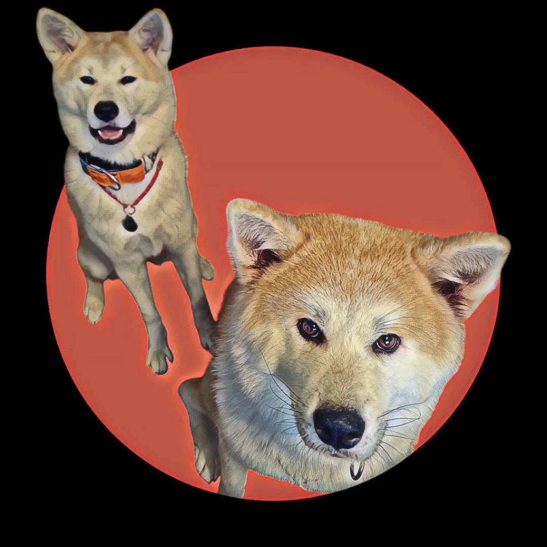 Логотип канала