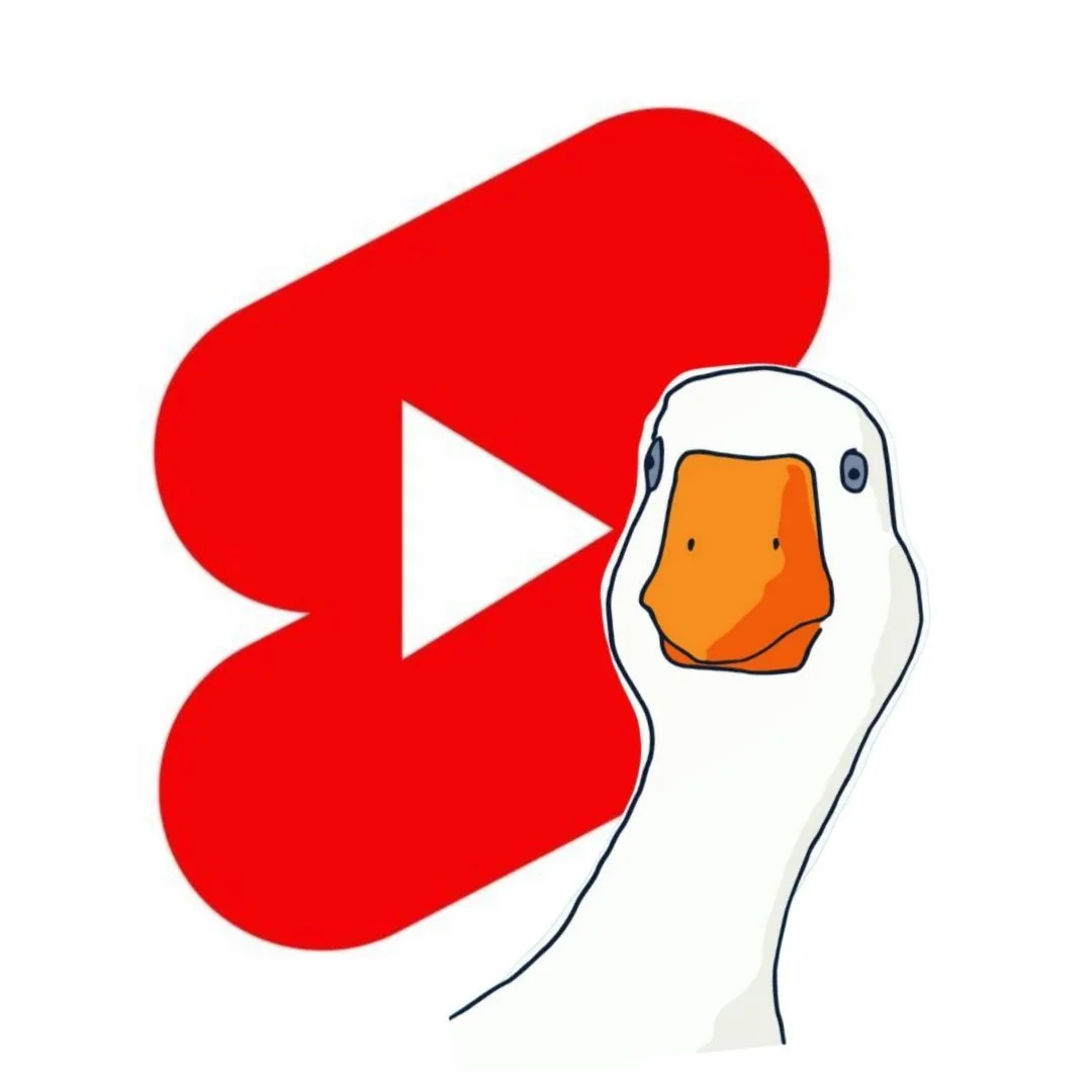 Шортсы от гуся