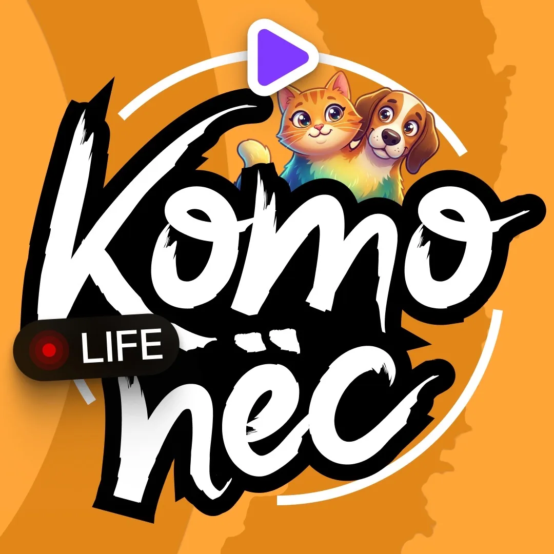 « КотоПёс Life »