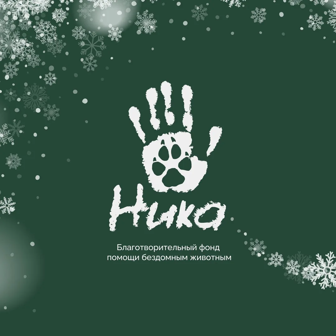 Фонд помощи бездомным животным "Ника"