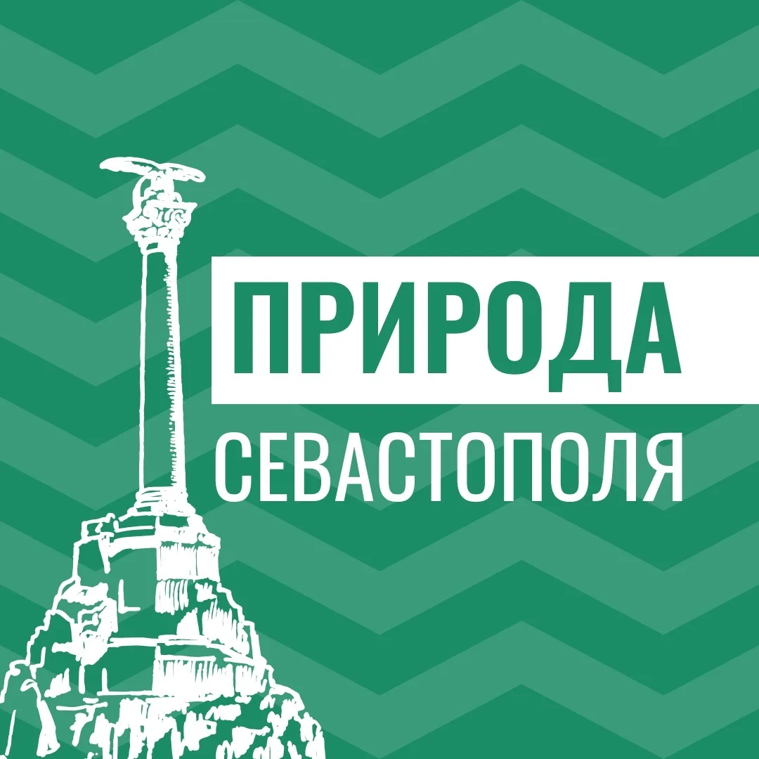 Севприроднадзор — канал в мессенджере MAX