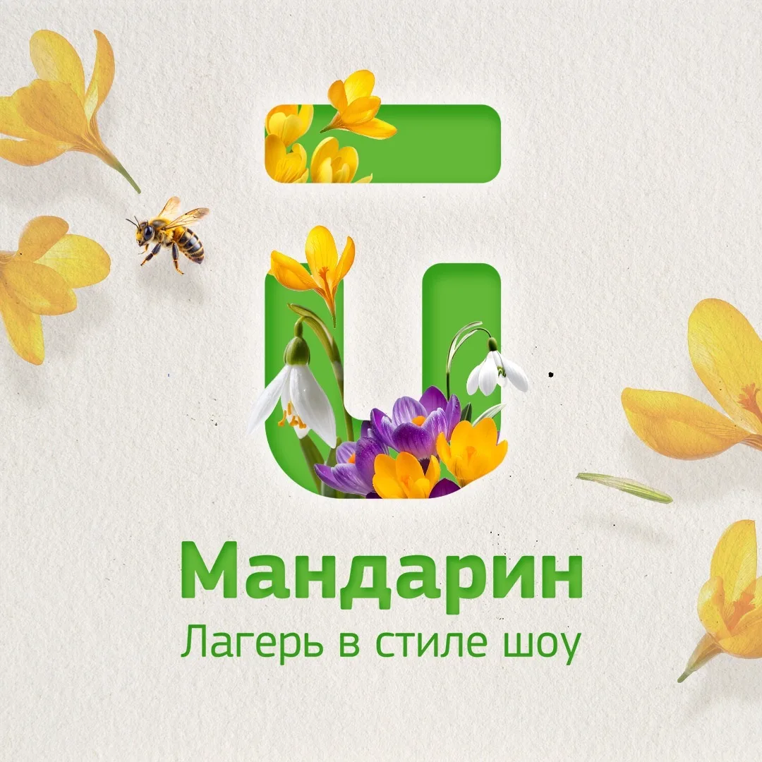 Детский лагерь Мандарин