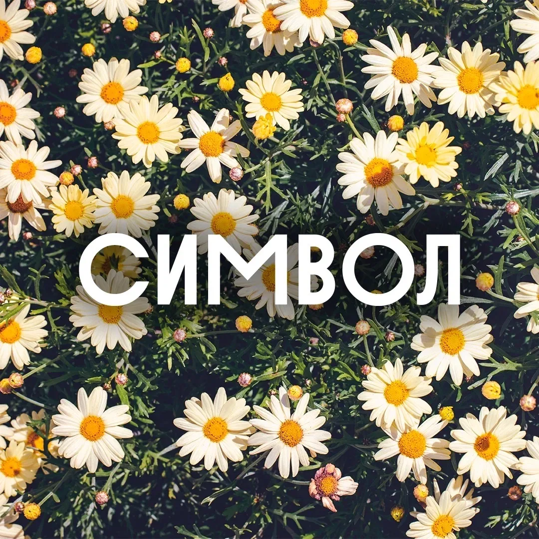 Символ | Донстрой — канал в мессенджере MAX