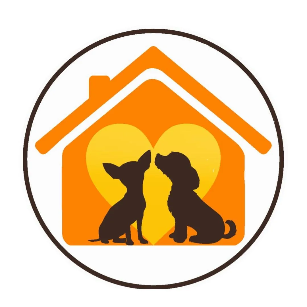 Домик Мелкашей - приют для маленьких собак