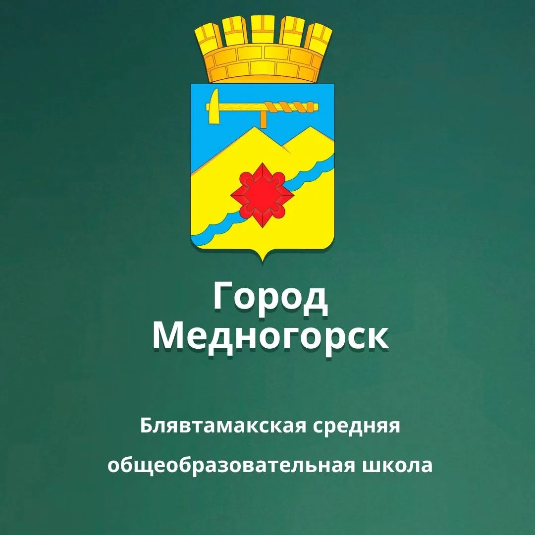 МБОУ "Блявтамакская средняя общеобразовательная школа г. Медногорска"
