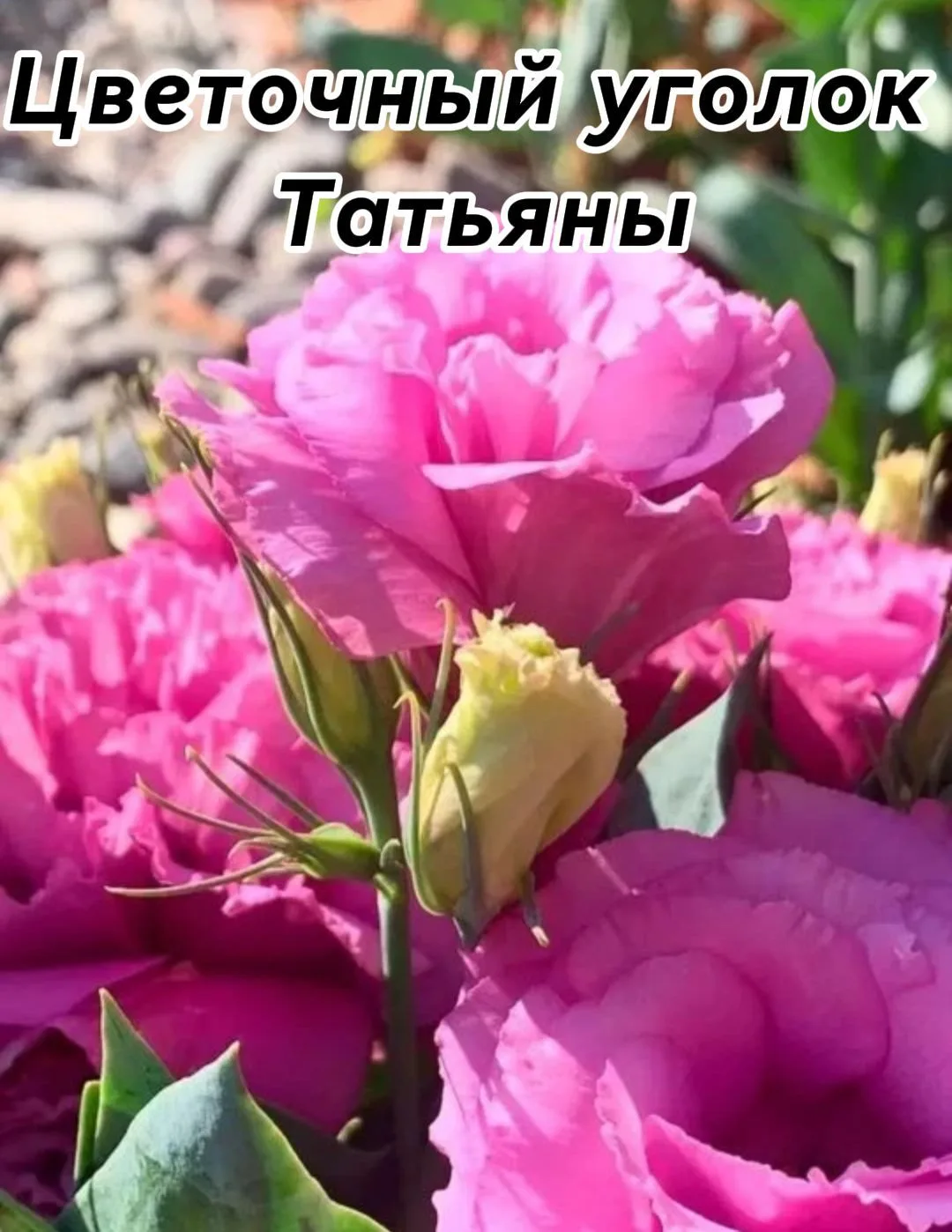 Логотип канала