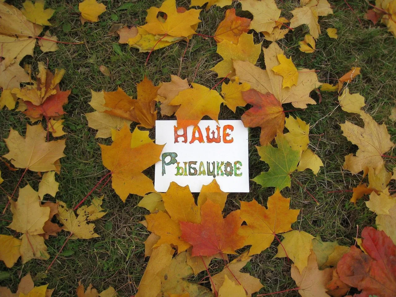 Рыбацкое - Невский район