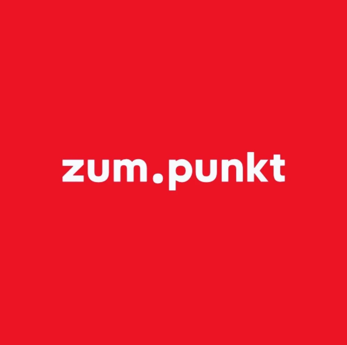 В активном поиске | Zum Punkt