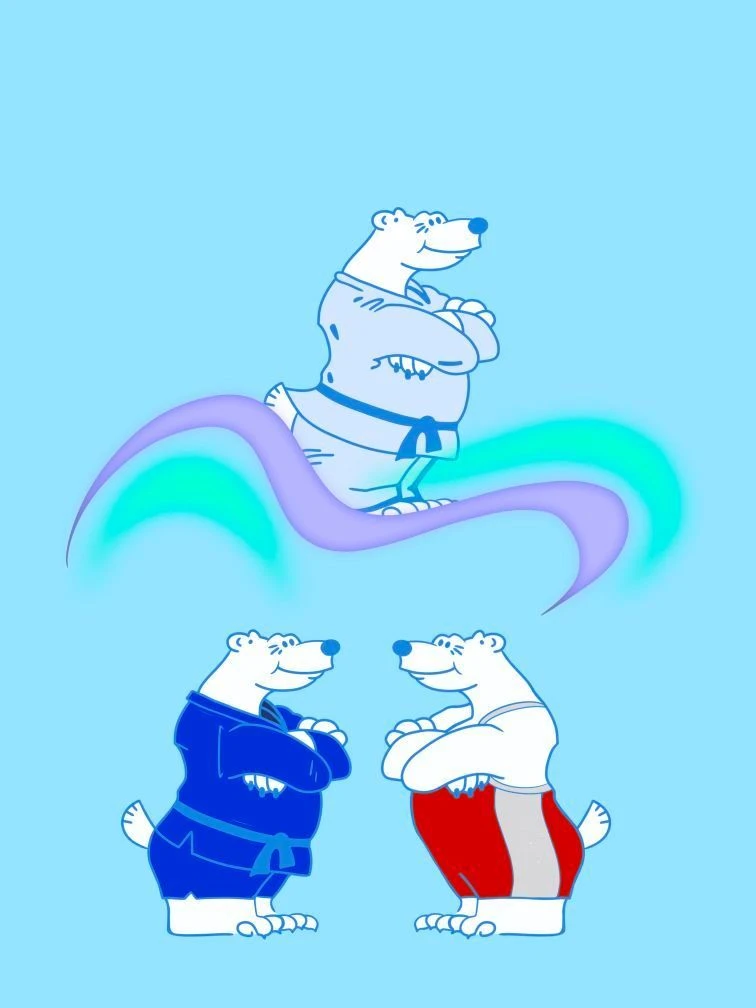 МАУ ДО СШ 13