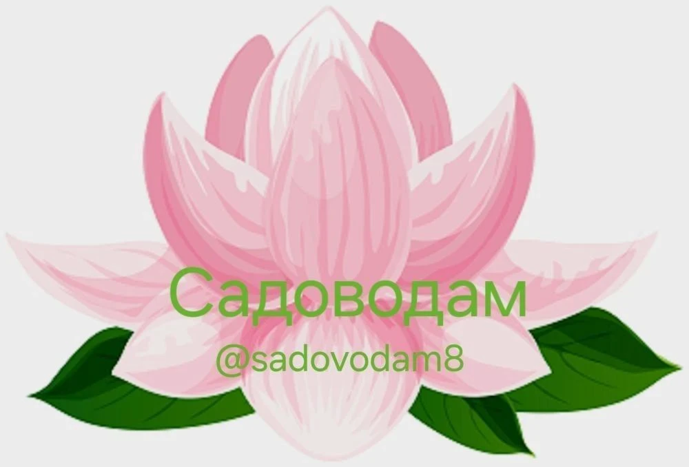 🪷Садоводам🪷