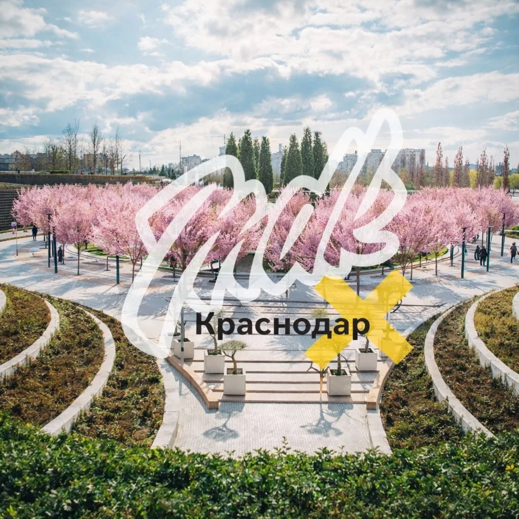 MDK Краснодар