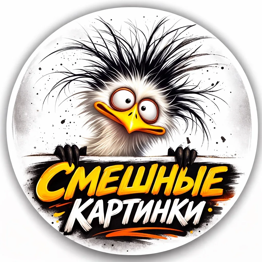 Смешные картинки