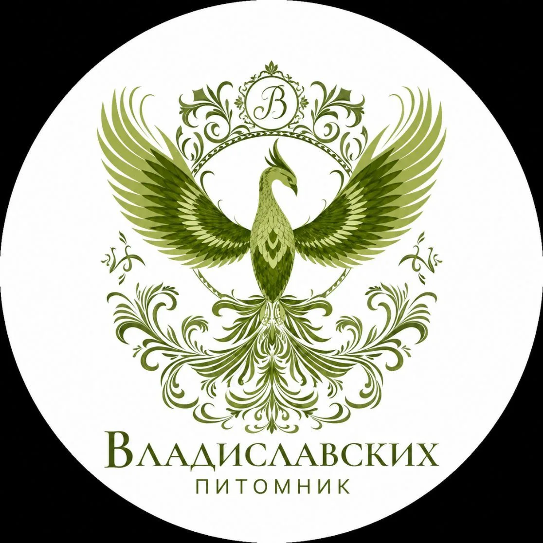 Питомник Владиславских БЕЛОРЕЧЕНСК — канал в мессенджере MAX