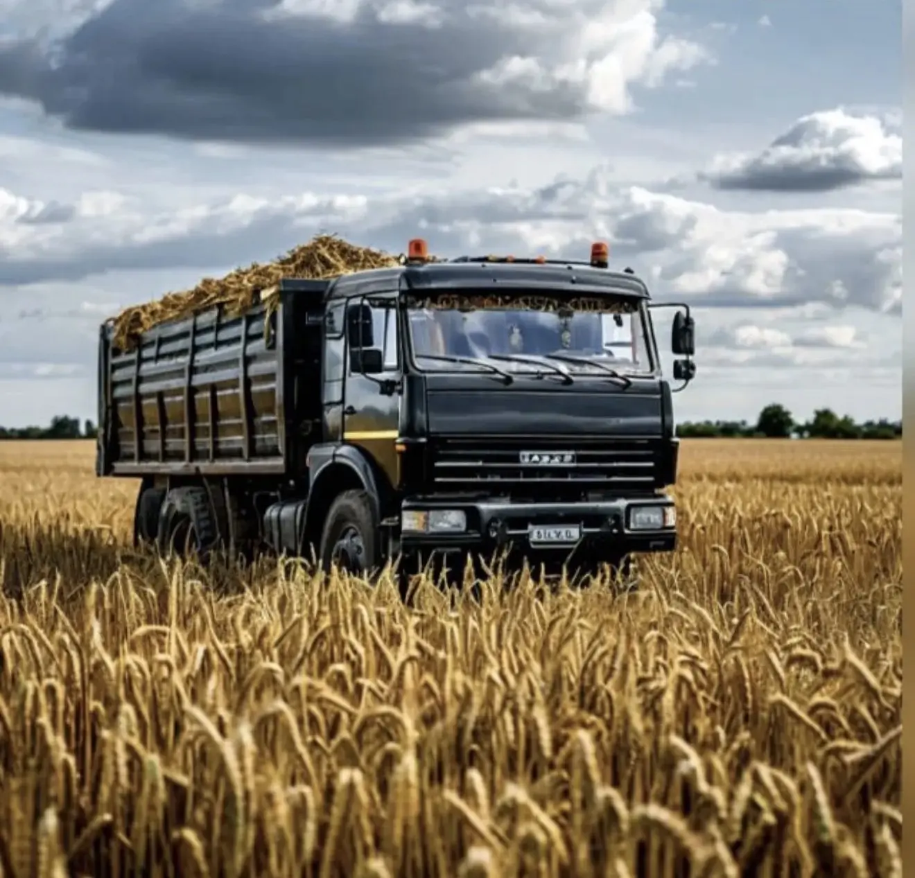 BLACK LOGISTIC — канал в мессенджере MAX