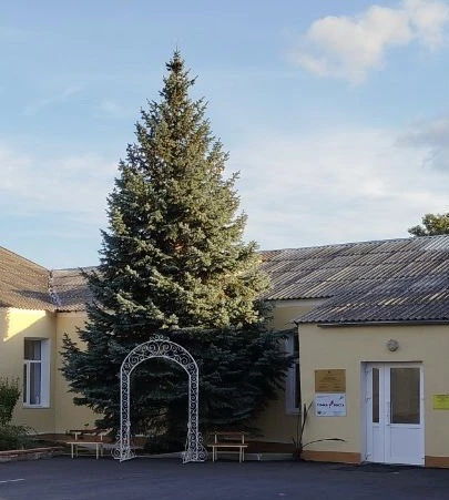 Официальный канал МБОУ "Николаевская школа"